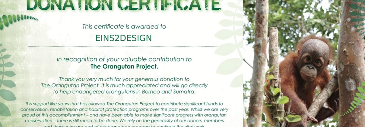 Donation Certificate big