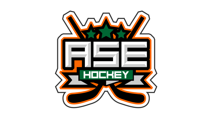 Werbeagentur ASE Hockey