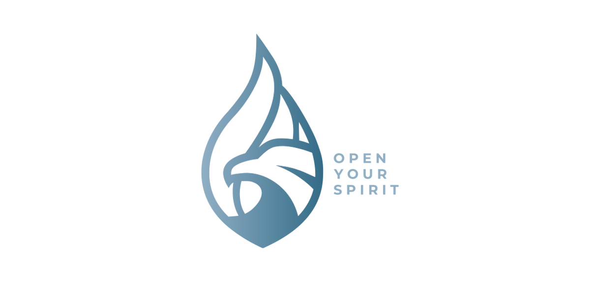 Лого спирит. Spirit logo. Логотип спирит Академии. Steel Spirit логотип. Исси Спиритс лого.