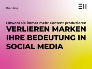 EII Blogbeitrag Problem Deiner Marke Social Media