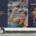 EII Logodesign Branding Markenstrategie CSC Cologne Swimming Club Case Study Vorschau