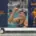 EII Logodesign Branding Markenstrategie CSC Cologne Swimming Club Case Study Vorschau